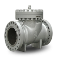 Check Valve