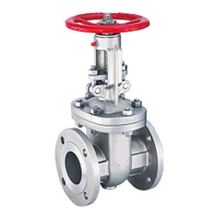 Gate Valve