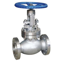 Globe Valve